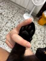 https://images.plurk.com/61p76OOZFqsmEcU56Ja2eu.jpg