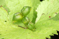 https://images.plurk.com/61zEmjHviGhvQCQeKjcg7N.jpg