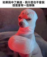 https://images.plurk.com/621NceuHI2TmfAuvN02TGf.jpg