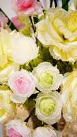 https://images.plurk.com/624FFxvmGepFPCjcfXCbmZ.jpg