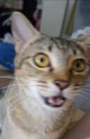https://images.plurk.com/626EuNHkWuHyMK1CzZmgZI.jpg