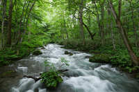 https://images.plurk.com/62CBQIOx03FDasVDDFtKrM.jpg