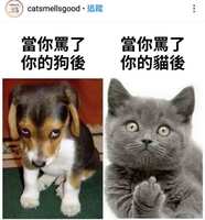 https://images.plurk.com/62Gv9fXkj35RQGn9q4YnRB.jpg