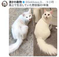 https://images.plurk.com/62IaqmNyhJeqDDy5JYVBh7.png