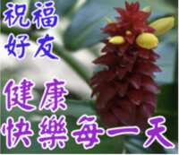 https://images.plurk.com/62LnmFAdaToQfWGAbrUOxd.png