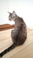 https://images.plurk.com/62U2tt1e7T07heBqUZCEMm.jpg