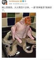 https://images.plurk.com/62Y7w1xqIISWBWNPwfwpU6.jpg