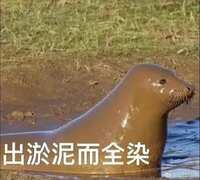 https://images.plurk.com/62az4MMIzCwbB2UZ3cbVWQ.jpg