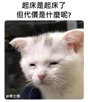 https://images.plurk.com/62l7oDi2m0NKHITGGzg69g.jpg