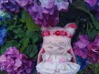 https://images.plurk.com/62qdofCwrbUdc3RZThDRRr.jpg