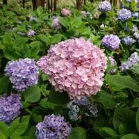 https://images.plurk.com/62sAFrPvMlLd3eqxbtASS6.jpg