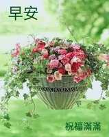 https://images.plurk.com/62wnGFFE8M7AeAQ17UWpVb.jpg