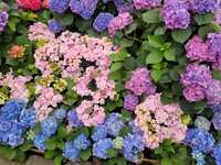 https://images.plurk.com/63090oItxzuQlIPAQY9si0.jpg