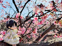 https://images.plurk.com/638JMnSZOm5NsV0vbZ2aPn.jpg