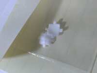 https://images.plurk.com/63CDTVnBAHObAAViVRlmrr.jpg