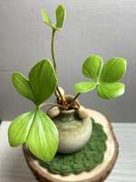https://images.plurk.com/63DLuVpC8UENA7i30Od2Bu.jpg