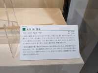 https://images.plurk.com/63GRNxa1kBuo8uuQp6RXEY.jpg