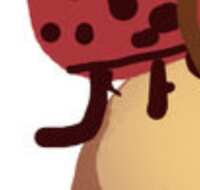 https://images.plurk.com/63IsXYqUNzzUNhO8nXL2Kg.png