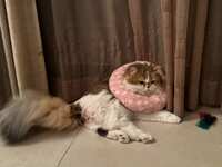 https://images.plurk.com/63Mr5S07PoBGwwNkvJymKM.jpg