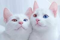 https://images.plurk.com/63OKZd9T70Hh7T5oc4gI0Q.jpg