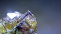 https://images.plurk.com/63Oinp6XX9mc13xnIXNyNM.jpg