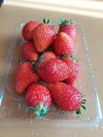 https://images.plurk.com/63SgRAk4qczwMbzHiGOe3E.jpg