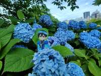 https://images.plurk.com/63WuMdpjC7eR7bKeyP0DX5.jpg
