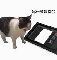 https://images.plurk.com/63XbmmRPj6Pwbib4u3GtNA.jpg
