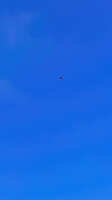 https://images.plurk.com/63ZVhwcbr8YpiOjveZH2m7.jpg