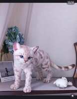 https://images.plurk.com/63cOPAY3HR4At6GqK9sLJO.jpg