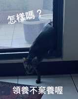 https://images.plurk.com/63nW1yDF2Nw8Jy8N48g6Hs.jpg