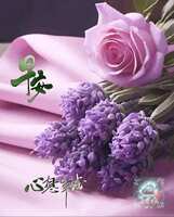 https://images.plurk.com/63uSmBWeAQrcdylw2OaP6.jpg