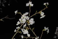 https://images.plurk.com/640FldViKwe04fWOsQnyR5.jpg