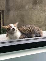 https://images.plurk.com/640SbMyQ8gschwoHBlaAn0.jpg