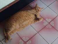 https://images.plurk.com/6410kbzaSmKTbT4lq8ShaO.jpg