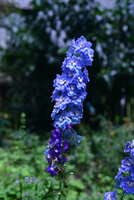 https://images.plurk.com/644TEIO3ReZMmYsZvMGZgj.jpg