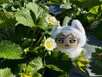 https://images.plurk.com/646tOLk5yPQWflWIbgLUPU.jpg