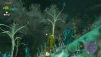 https://images.plurk.com/64CmAEBMcDPhYSnoP1X1hY.png