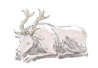 https://images.plurk.com/64G6kj1jSaKaIRCPaodnts.jpg