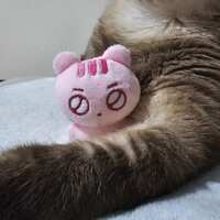 https://images.plurk.com/64KfIWl7LgE2MKbEow8DBT.jpg