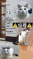 https://images.plurk.com/64LFPpKYUzfCu5qlgekKGS.jpg
