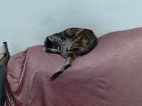 https://images.plurk.com/64UUfTcaUGmsRvQ84t5Oxo.jpg