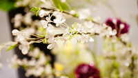 https://images.plurk.com/64Y1muubBpCKtmTKvCfn1w.jpg