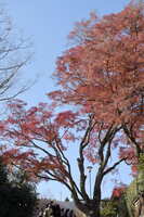 https://images.plurk.com/64Zq1Hkuiiu4bWXSjF34p4.jpg