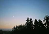 https://images.plurk.com/64aKMvQnmpeXb5SWULoLmL.jpg