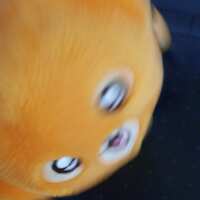 https://images.plurk.com/64b4zrecS1vXDjrQhpdrcY.jpg