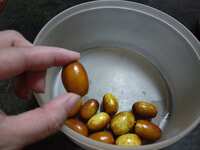 https://images.plurk.com/64bWngWCjZWw72wtJ449s4.jpg