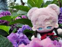 https://images.plurk.com/64eFXC2pnJcSXaXrjmUq0s.jpg
