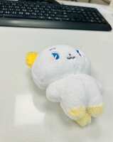 https://images.plurk.com/64emFvFtzgslFPfaqgODh3.jpg