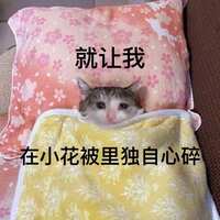 https://images.plurk.com/64gomPTNH3tMHscGPFkdcV.jpg